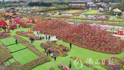 禪城高明入選全國科普示范縣(市、區(qū))