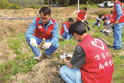 高明供電局讓文明之燈點亮千家萬戶