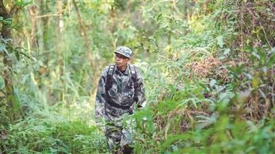 三水南山護林員徐奕新：扎根大山二十三載 用青春守護一片綠