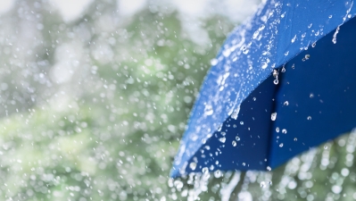 4月20日迎谷雨 本周雨不停