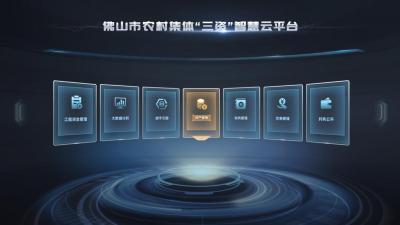 佛山農(nóng)村“三資”管理再揚改革風帆