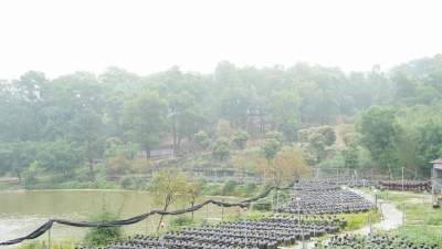 《中國(guó)米食大會(huì)》欄目組走進(jìn)佛山