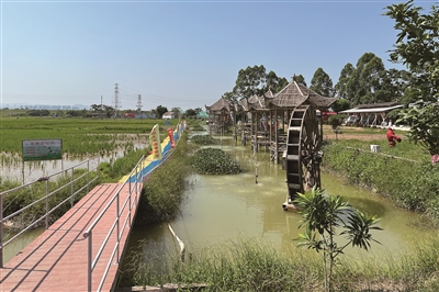 高明區(qū)新崗村： 集約經(jīng)營(yíng) “大村”闖出農(nóng)旅新路