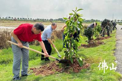 軍民共植新綠 增進(jìn)魚水情誼