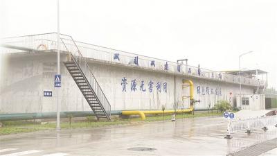 順德積極踐行“以水興城”，為全市治水提供樣本