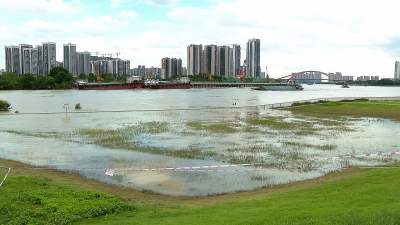 佛山江河水位進入退水期