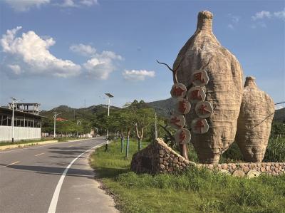 高明更合鎮(zhèn)水井村：種好一方葛 帶富一村人