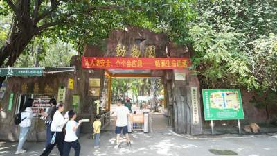 佛山+客戶端聯(lián)合中山公園金龍動物園送出100張門票