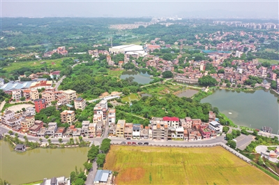 三水區(qū)云東海街道楊梅村：優(yōu)生態(tài)強產(chǎn)業(yè) 集體經(jīng)濟提質(zhì)加速