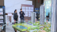 佛山楼市持续回稳向好