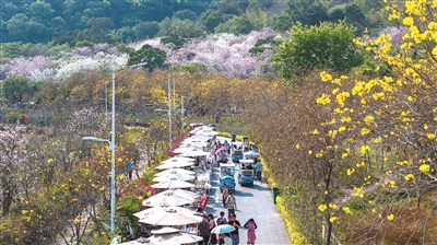 與春同行 踏青賞景