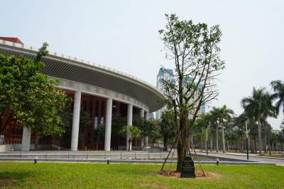 “中越友好的根基在人民”
