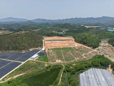 澳龍育種低碳漁業(yè)基地落戶高明楊和