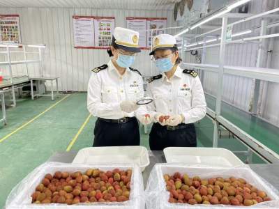 搶占“鮮”機(jī) 漂洋過海