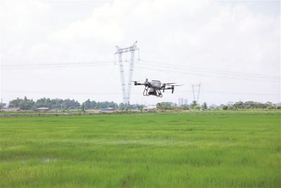 無人機“慧”種地 效率高還便宜