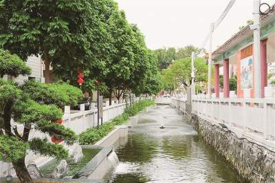 南海大瀝太平社區(qū)：臭水溝變景觀河 一池活水映新景
