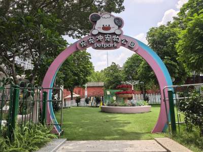 小宠物激活大市场