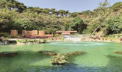 三水江根村：幾字灣上譜新篇 千年古村展新貌