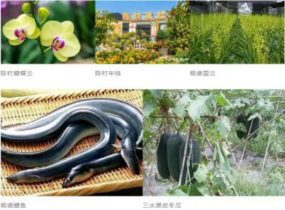 佛山新增5个地理标志保护产品