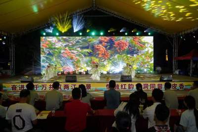 南庄镇紫洞村第五届黄皮文化欢乐嘉年华启动