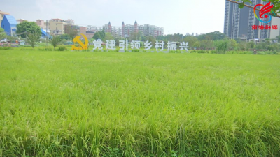 永久基本农田保护红线管理办法即将出台