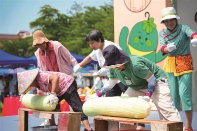 冬瓜凝聚邻里情 和美乡村入画来