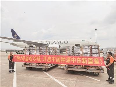“广明2号”白羽肉鸡乘专机进军中东市场