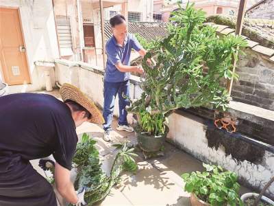 主动清杂物 共织“防蚊网”