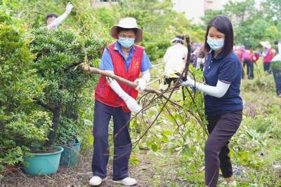 家家户户齐动手 清洁环境灭蚊虫