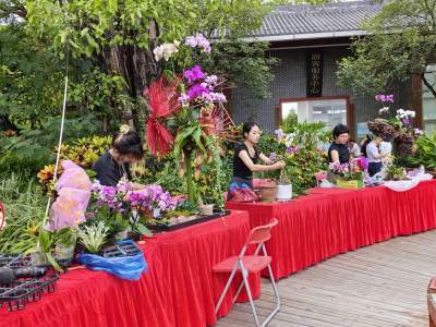 佛山举办丰富活动庆祝农民丰收节，好吃好看又好逛
