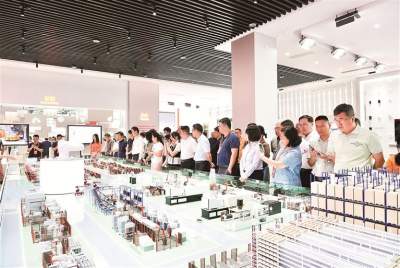 第三届粤港澳大湾区发展工商大会（佛山段）考察活动举行